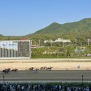 경마공원역 1번출구 | [과천 경마장] 레츠런파크서울 - 과천 경마공원 경마장 이색 데이트 주말 나들이 장소 추천