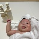 (주)다안 네이버블로그