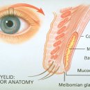 경산약국 이미지