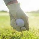 알바트로스 스크린골프 이미지