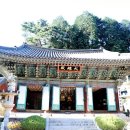 #2958 나는 누구인가? - 東鶴寺(동학사)의 午前(오전) Before (morning) of Donghaksa Temple 이미지