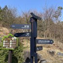 그린꽃식물원 티스토리