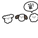 미미 매운칼국수 이미지