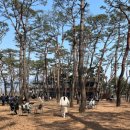 장학충전소 | 20주 임산부 춘천 주말 나들이｜쭈꾸미 덮밥 맛집+소울로스터리 카페 후기