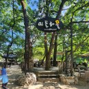 민들레울 이미지