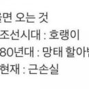 영등동-60 이미지