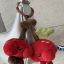 대련농장 이미지