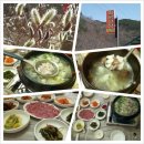 회문산장