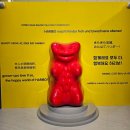 한소리마을회관 | 둥둥이와 주말 나들이💕(하리보 해피월드 인 제주)
