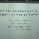앨리스포레