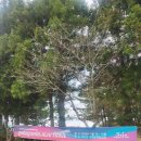 2026 제주 파타고니아 트레일 러닝 참가 후기