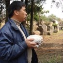 이레네 강아지 이미지