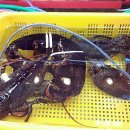 일성상회 이미지