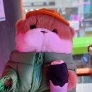 짱뽑기샵