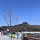 호수로50번길 | 포천 산정호수 겨울여행｜썰매축제 오리썰매 체험 + 태국음식 맛집 추천