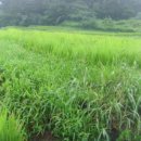 01-70 동구 이미지