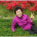 광주광역시시립도서관 이미지