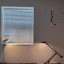 달심키친 | 인덕션용), 호랑 블랙 수저, 집밥 일기, 달심 주스 후기, 키친툴 사케 잔, 요시타니 글라스, 쿠팡 식물...