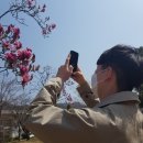 리스모어 이미지