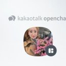 새미인셀덤