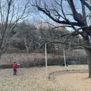 은행청과 이미지