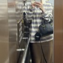 항준적 사고