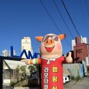 삼천포종합시장 | [사천맛집] 라모타바베큐 사천캠핑바베큐 애견동반가능 캠핑고깃집 진주근교 가족외식추천