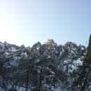 삼오1 이미지