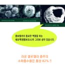 클로렐라효능 알고 드시면 피부 문제 확 잡힙니다~