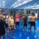 울진제일약국 이미지