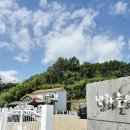 햇살과일구미 | 김천근교 구미풀빌라 20명이 함께 다녀온 밤하늘의별펜션 만족 후기