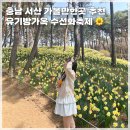 (축제체험) 샤쉐 한지 방향제 만들기 | 서산 유기방가옥 수선화 축제 꽃놀이 내돈내산 후기