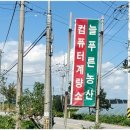 늘푸른농산 - 제천시 용두천로 134 | 늘푸른농산