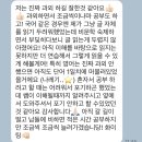 [영어, 국어][온라인] 11년차 과외 선생님이 무조건 성적 올려드립니다. 이미지