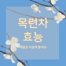 비강매듭