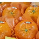 은서농장 이미지