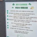 도담캠핑장 이미지