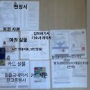 인터뷰 | 체코 교환학생 | #9-3 🇨🇿 주한체코대사관 학생비자 인터뷰 후기