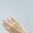 G1386 이미지