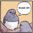 일부러 밉다고 엿 먹인 거 같다... 이미지