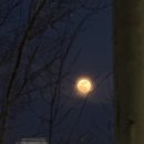 (주)아이지디 | 4월 첫 주