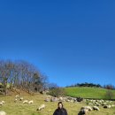 창해목장 이미지