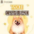 키다리아저씨 동물병원 이미지