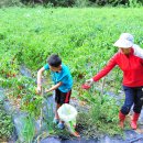 형래농장 이미지