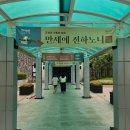만세회관 - 성동구 | 함께 마주한 조선의 위대한 기록, <조선의 기록과 문화 만세에 전하노니> 방문 후기 및 주차정보 추천 맛집