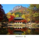 만추