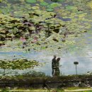 물속풍경 이미지