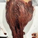 오렌지미용실 네이버블로그