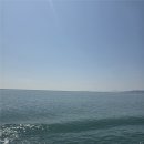 청산도 | 청산도 감성숙소 추천 | 포토존부터 복층, 비데까지 완벽했던 청산도여행펜션 후기