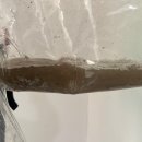 청운약품 이미지